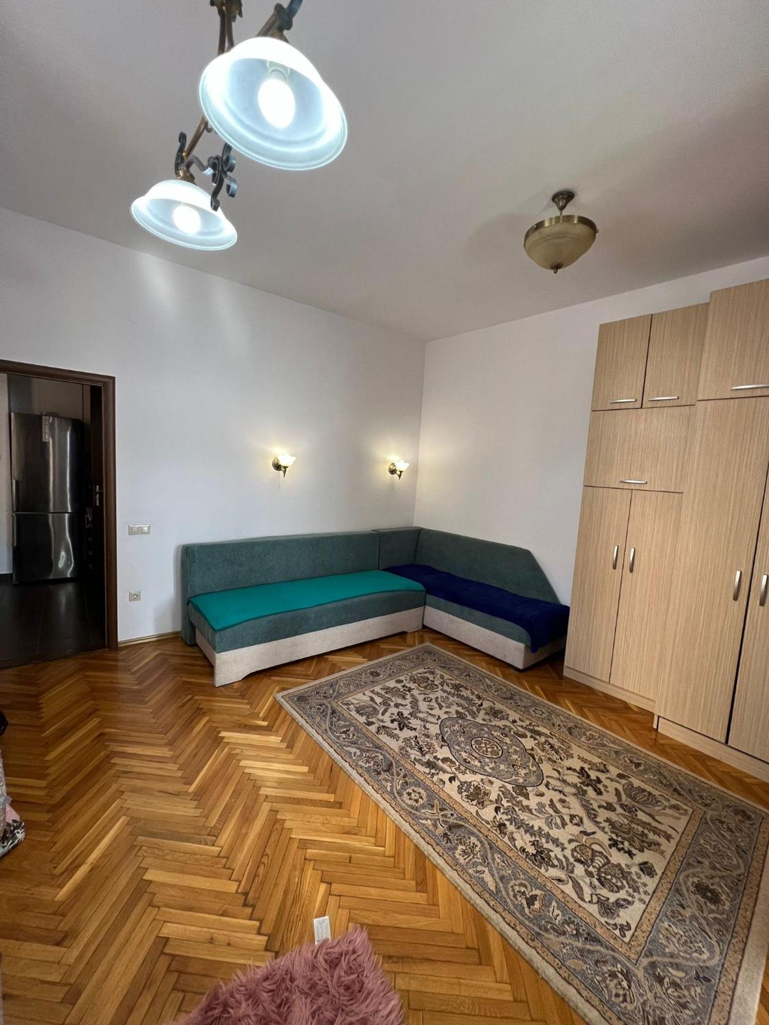 Balcescu Alina'S Apartament Сибиу Экстерьер фото